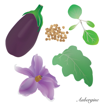 Aubergine