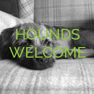Hounds Welcome